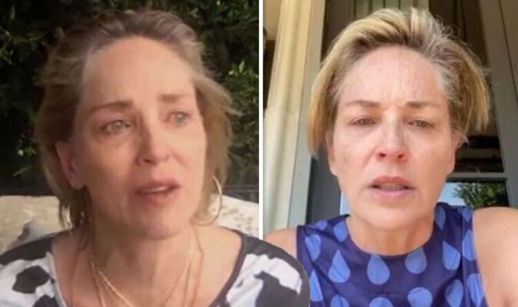 ‘It’s a process’ Sharon Stone inundated with support amid sad loss | Celebrity News | Showbiz & TV