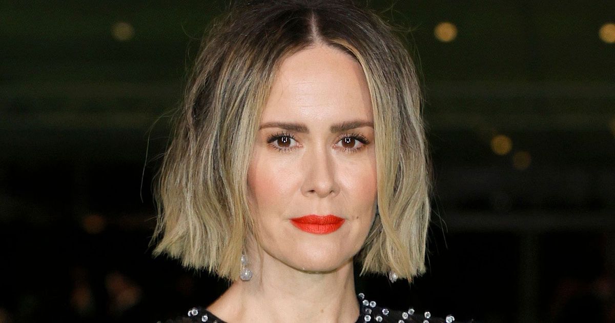 American Horror Story star Sarah Paulson helps friend try to find ‘dognapped’ pet