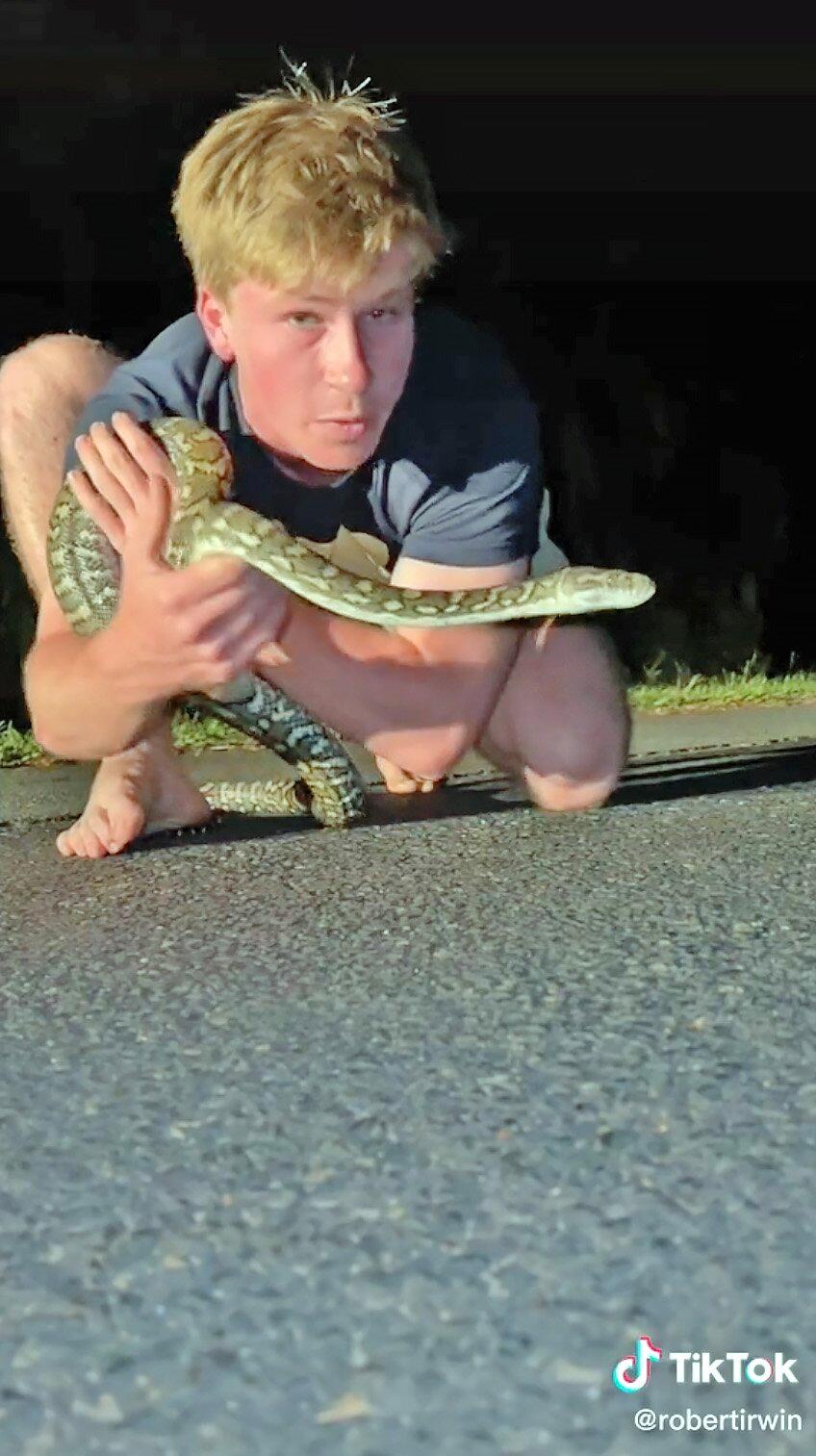 Robert Irwin Bravely Rescues Large Snake from Middle of the Road with His Bare Hands – Watch!