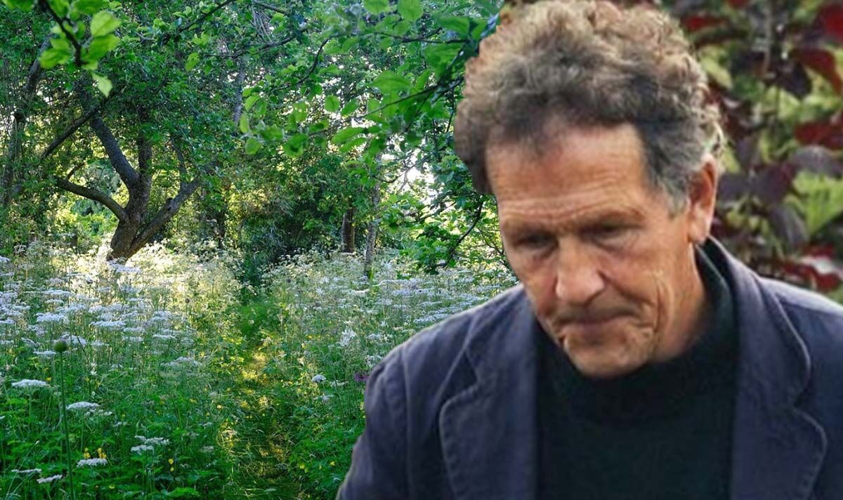 ‘With a heavy heart’ Monty Don inundated with support over tough garden decision | Celebrity News | Showbiz & TV