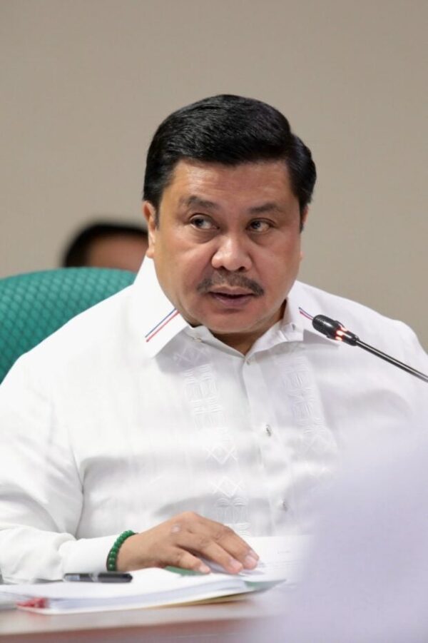 Estrada on decorum comments: Feedback essential in democratic process