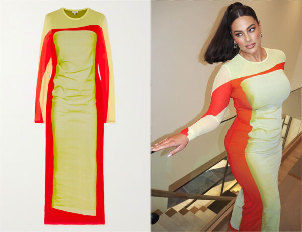 Ashley Graham’s Loewe Printed Stretch-Mesh Midi Dress
