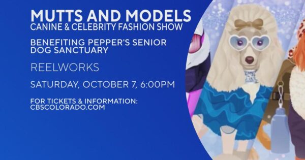 Mutts and Models Canine & Celebrity Fashion Show benefits Pepper’s Senior Dog Sanctuary