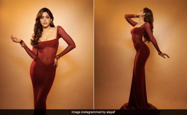 Before Diwali 2023 Even Arrives, Alaya Furniturwalla In A Sheer Red Bodycon Dress Is Already Thinking Of “Santa Szn”