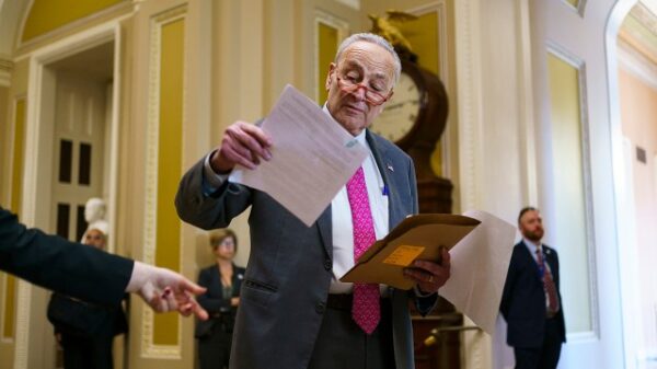 Schumer faces Democratic divisions on Israel