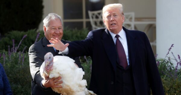 It’s time to end the Thanksgiving presidential turkey pardon