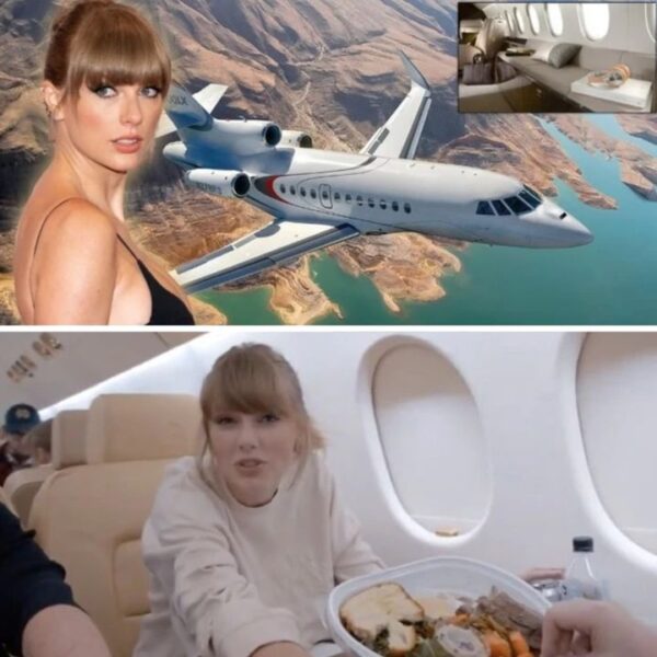 Inside the private jet of the new female billionaire – Taylor Swift’s jets spent 166 hours in air during Eras Tour