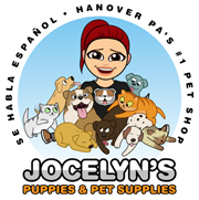 Puppies – Jocelyn's Puppies, Pets & Supplies