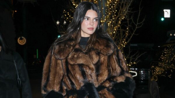 Post-Breakup Kendall Jenner Wears a Phoebe Philo Fur Coat