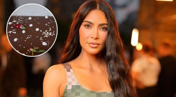 Kim Kardashian irks fans with bizarre Christmas décor: ‘What a waste’