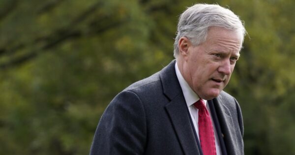 Mark Meadows petitions 11th circuit on removal issue