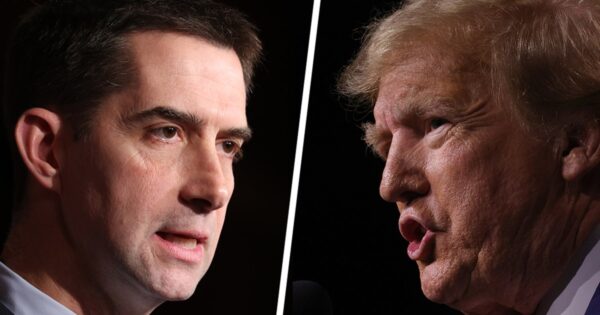 Republican Tom Cotton omits Trump’s delayed response to COVID