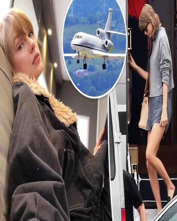Discover the amazing wealth that has made 33-year-old Taylor Swift a millionaire, from two private aircraft to several houses. ?
