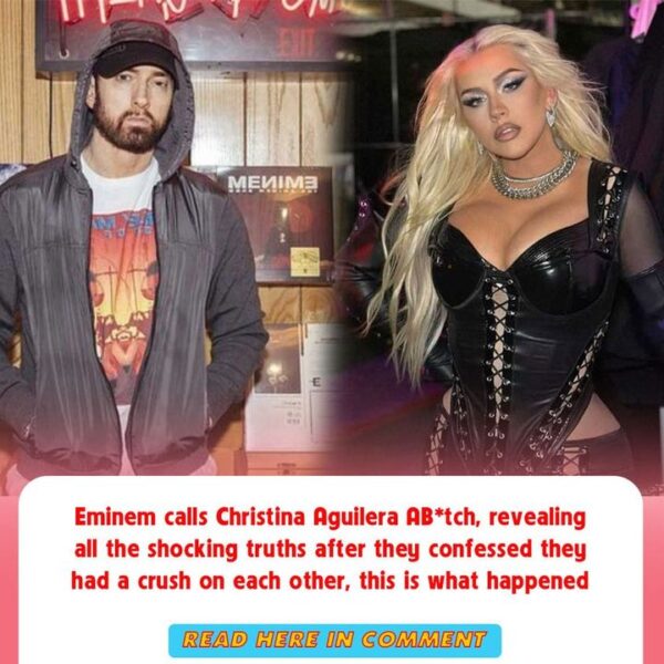 Eminem calls Christina Aguilera AB*tch, revealing all the shocking truths after they confessed they had a crush on each other, t…