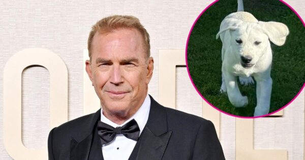 Kevin Costner Is ‘Already in Love’ With His ‘Special’ New Puppy