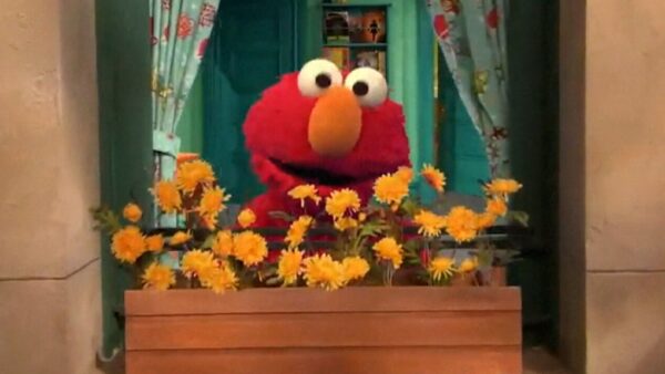 Tweet from Elmo prompts celebrity replies