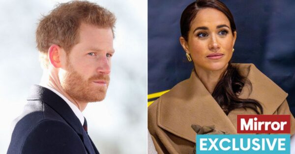 Prince Harry and Meghan Markle 'have bigger things to worry about' than royals