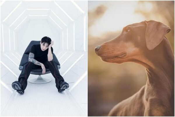 BTS’ Jungkook creates Instagram account for pet dog Bam, hits 4 million followers in record time
