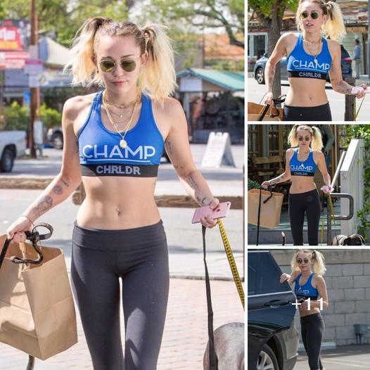 Pop sensation Miley Cyrus flaunts her chiseled abs during a chic stroll in Calabasas, accompanied by her cute furry frie…