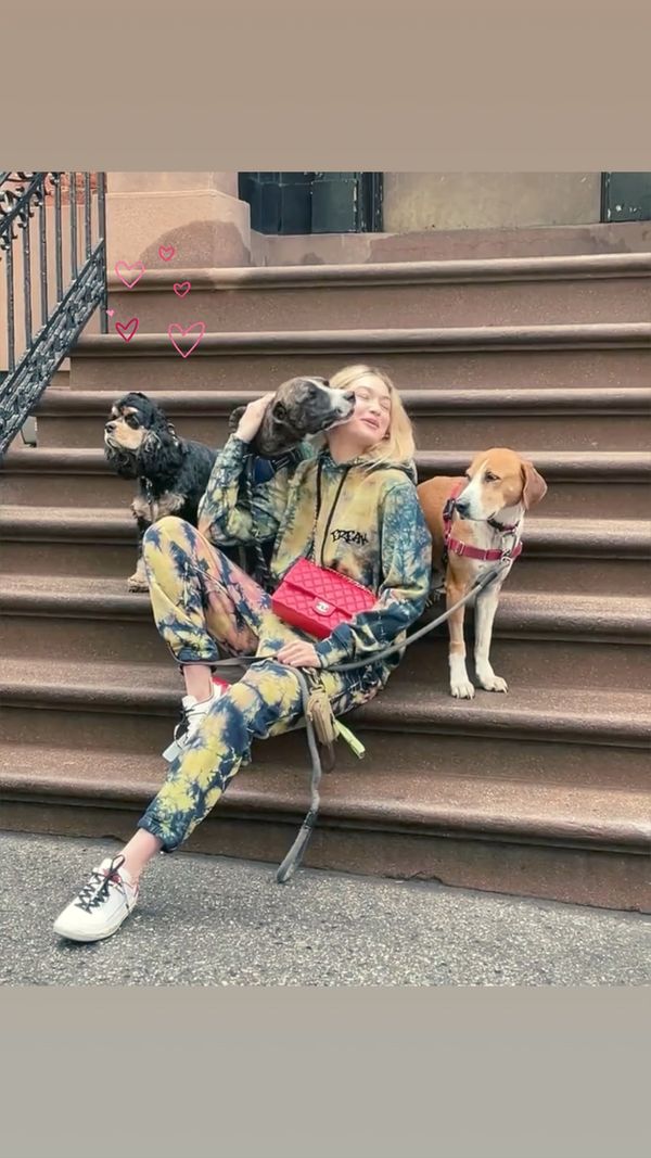 Gigi Hadid playing with dogs ❤️????