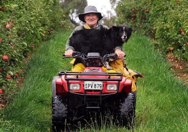 Ashley Graham Mason: Six-generation apple grower tragically dies in horror quad bike crash