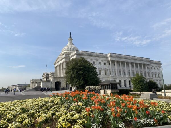 Aid to Ukraine, Israel overwhelmingly approved by U.S. House in bipartisan vote • Florida Phoenix