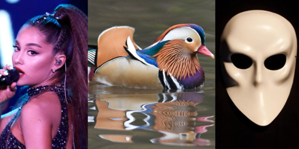 Ariana Grande, Sleep No More, and a Beautiful Duck ‹ Literary Hub