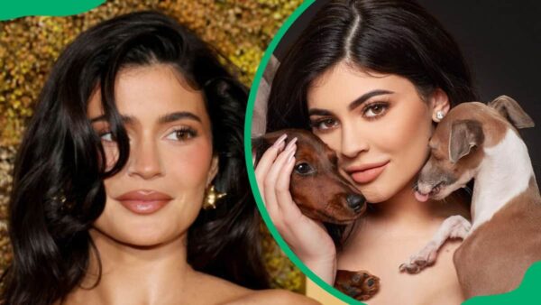 Kylie Jenner’s dogs: Names, breeds, and adorable pictures