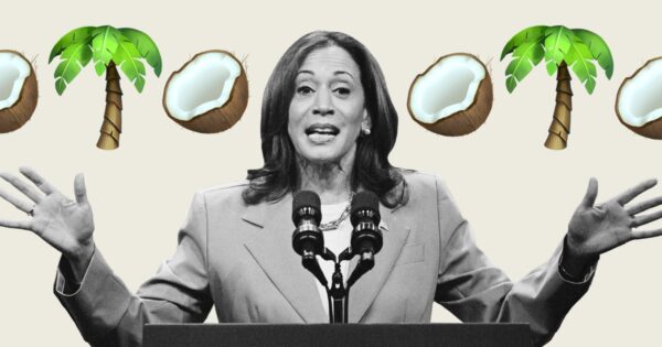 The Kamala Harris ‘coconut tree’ meme explains a vital truth about the 2024 election