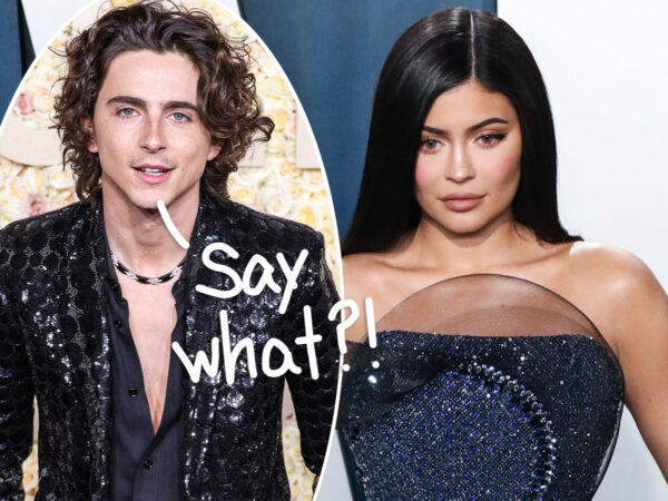 Kylie Jenner Wants To Make Babies With Timothée Chalamet – And This Is How He Reportedly Reacted When She Asked Him!