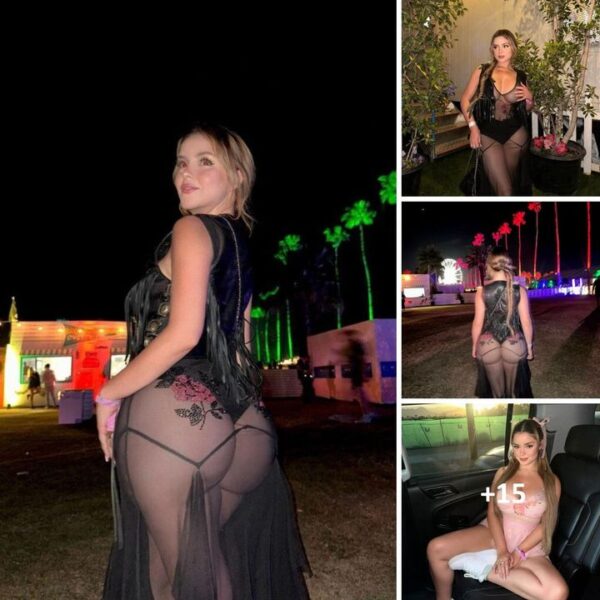 Demi Rose turned heads and stole the show at Coachella in a stunning sheer black dress that left everyone speechless