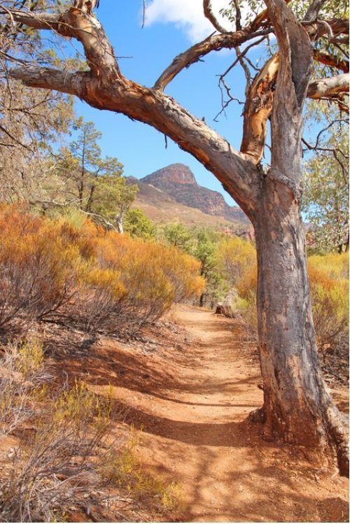 @mmpurcell39 Goeie môre Marius 🌅☕🙋🏻 ñ fantastiese lekker Saterdag vir jou ook 🎶🔆🎉💃🏻🕺🏻🌳🌾🌿 https://t.co/XkBeNSOBSj