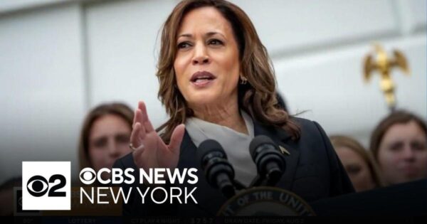 Kamala Harris secures Democratic nomination in virtual vote