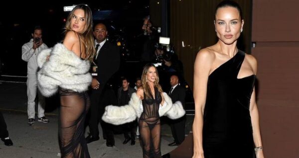 Alessandra Ambrosio and Adriana Lima party night away in skimpy looks after Victoria's Secret Fashion Show 2024 – CELEB NEWS